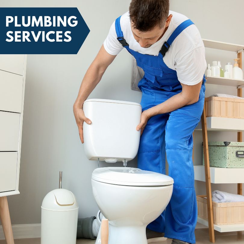 Plumbing Company in Mecosta, MI